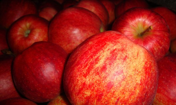Apples