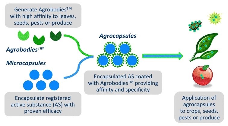 Application of agrocapsules