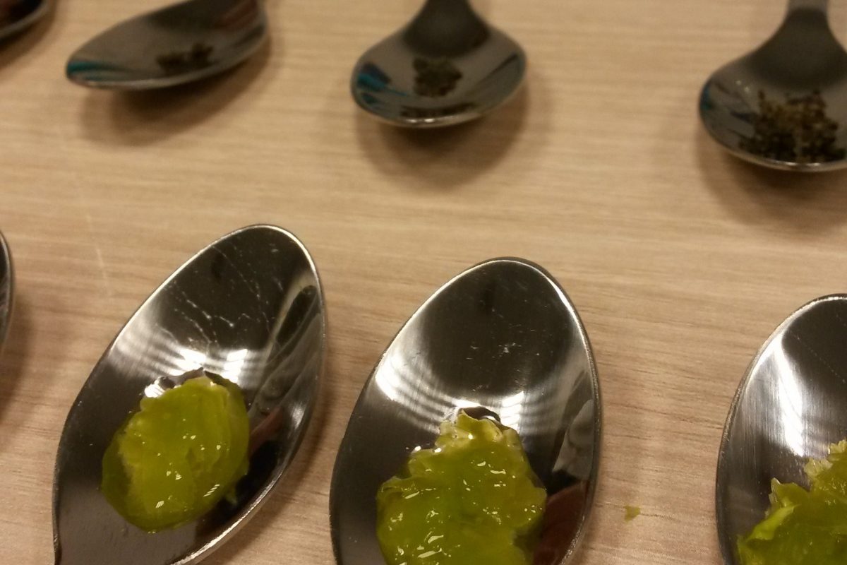 spoons with algae mixtures