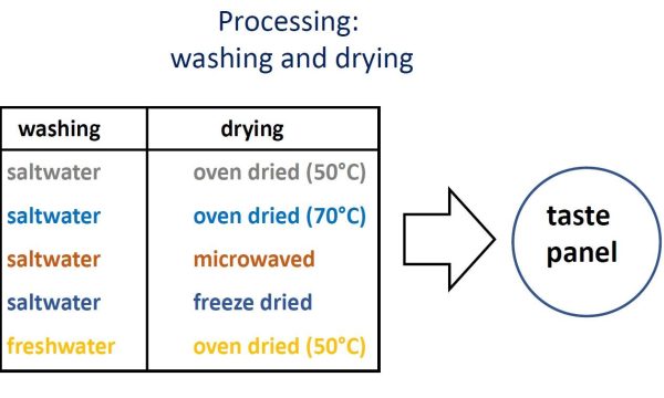 table processing definitions