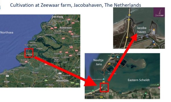 zeewaar farm seen on map, location on eastern scheldt