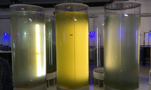 micro-algen reactoren