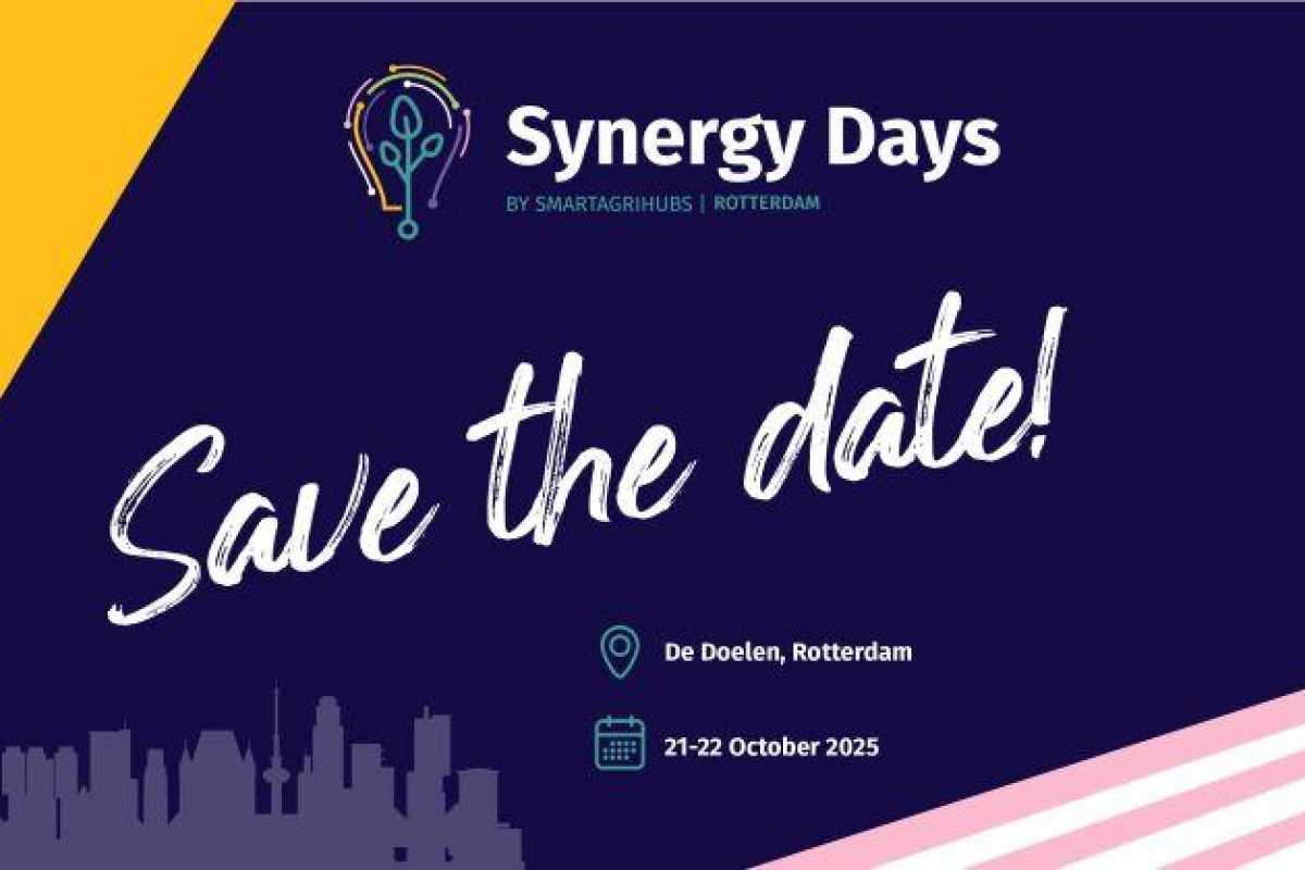 Synergy Days 2025