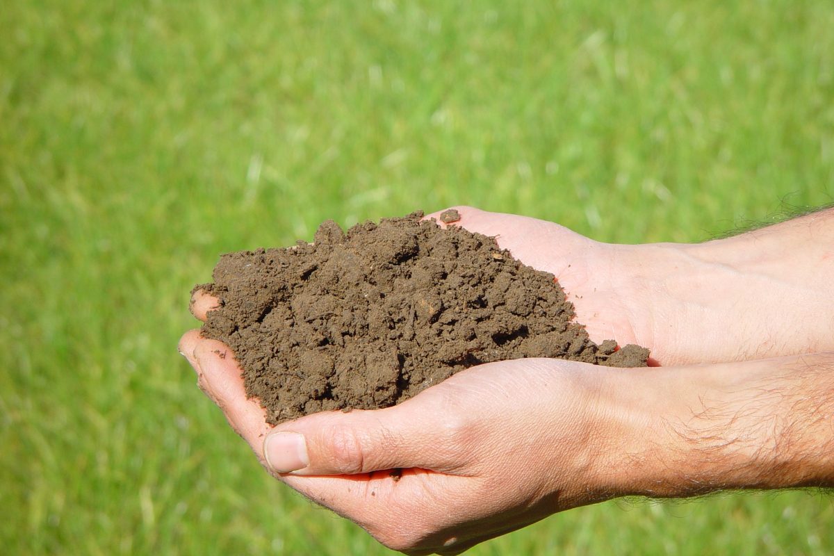 Een handvol rijpe en volledig verteerde compost