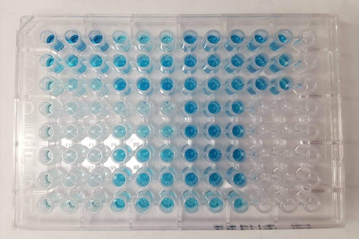 small tubes with blue fliud