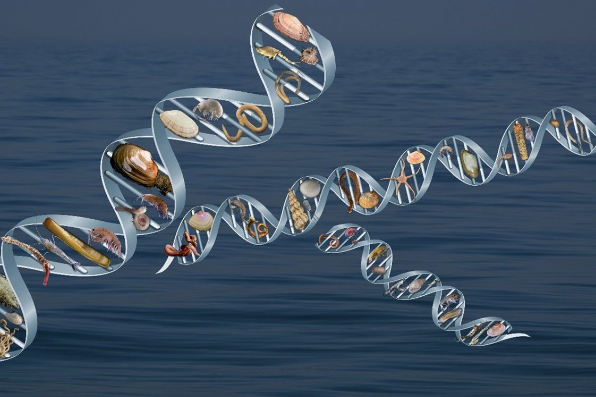 E-DNA afbeelding