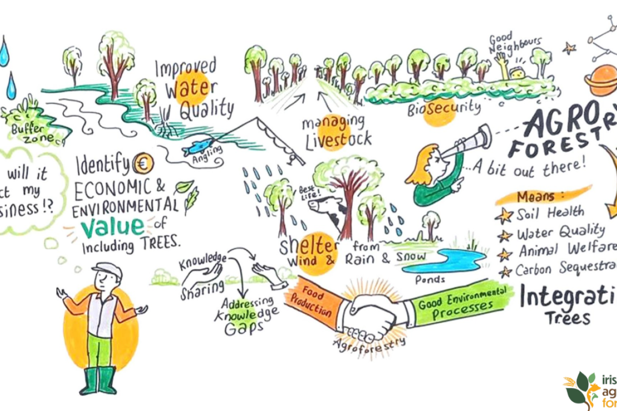 irish agroforestry forum