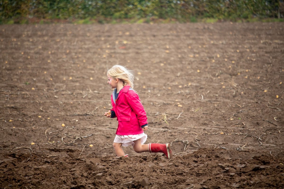 meisje loopt door te rooien aardappelveld