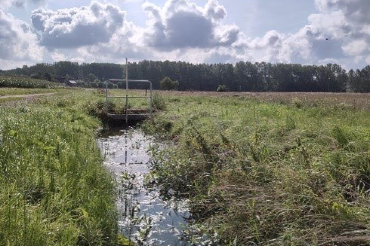 gracht in een landbouwgebied