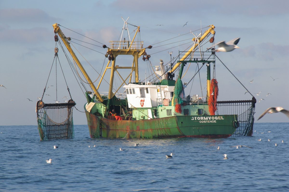 Beeld van een visboot op zee. De boot draagt de naam Stormvogel.