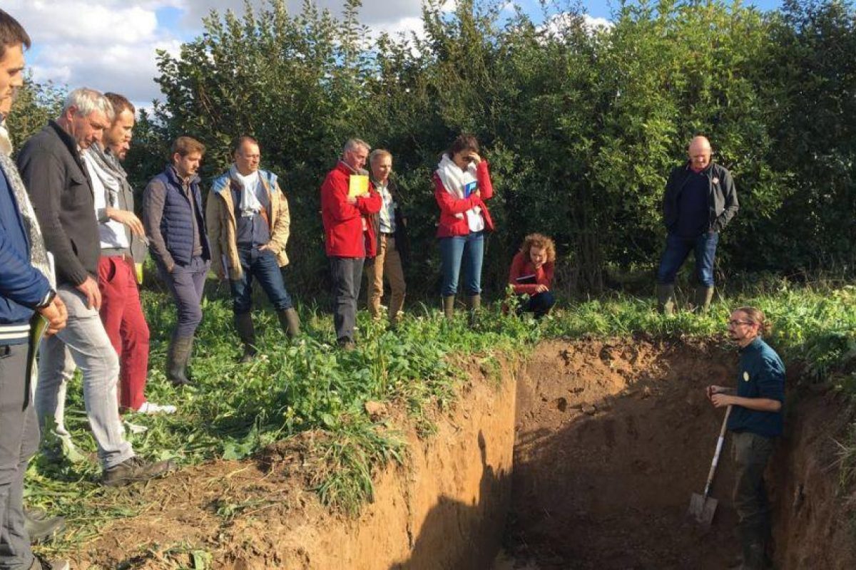 A group of people looking at a trench with a person in the trench, explaining the soil properties