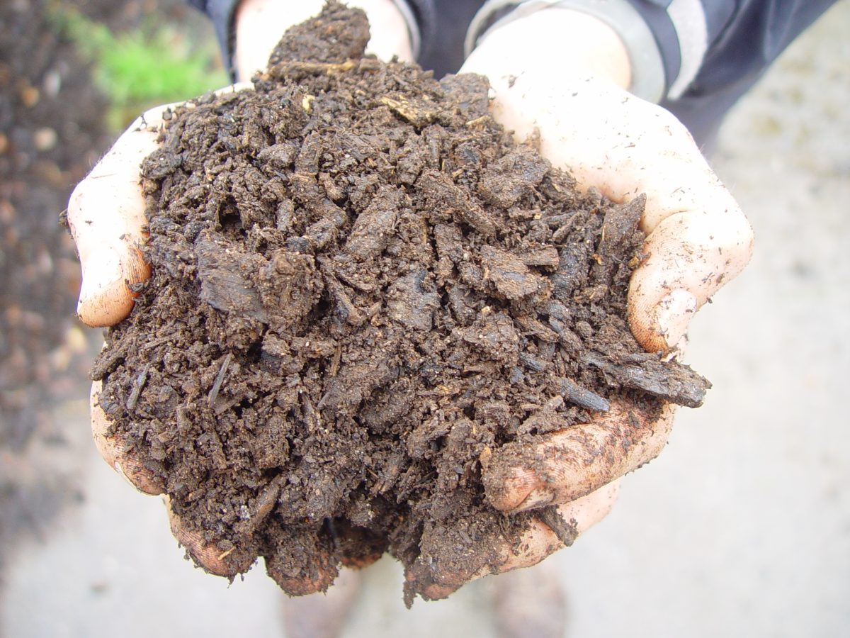 Two hands showing soil with chunks of organic material in it
