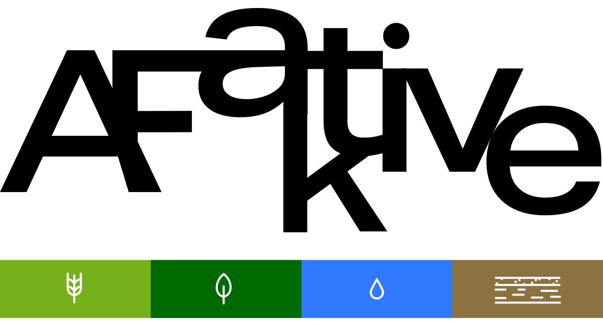 AFaktive logo