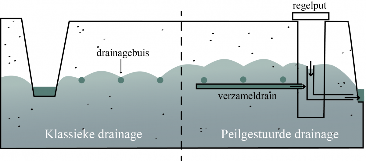 Peilgestuurde drainage vs klassieke drainage
