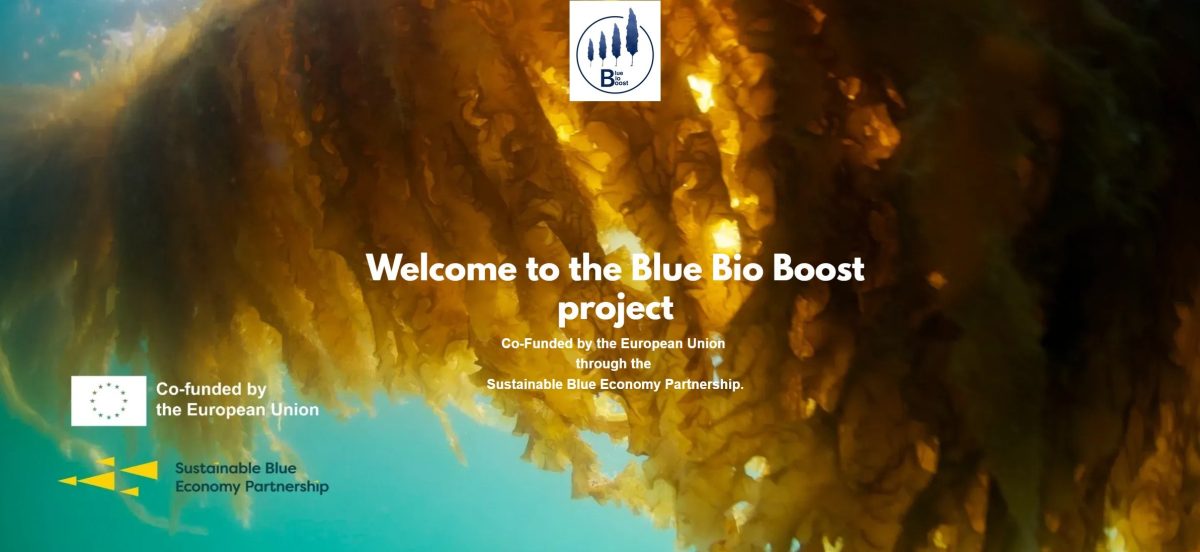 Blue bio boost project