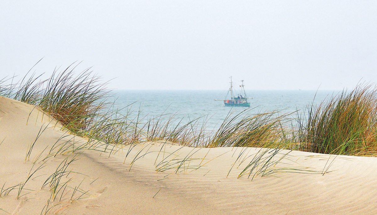 sand dune beach