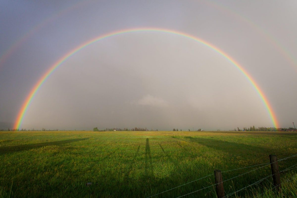 Rainbow farmers of the future