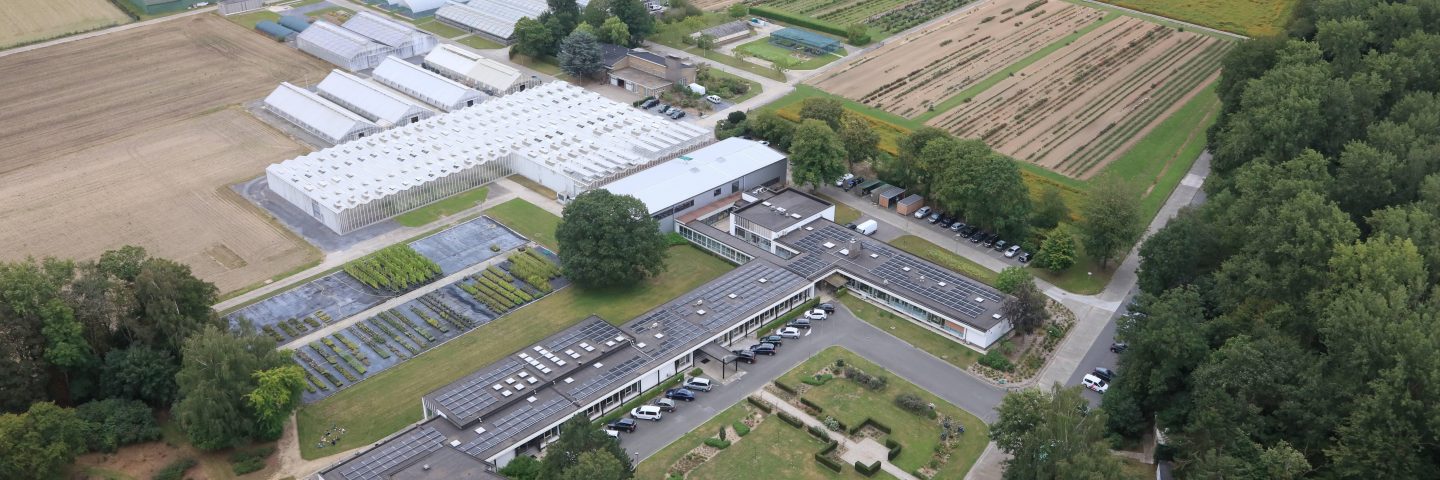 Aerial photo of the Caritas site