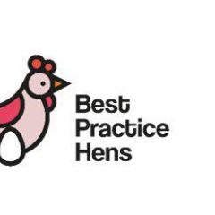 logo with illustration of laying hen with egg
