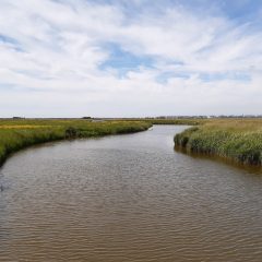 Water polder