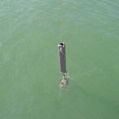 eDNA detector in water