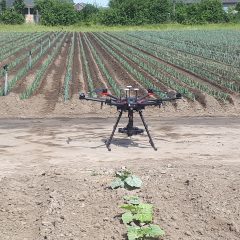 Drone in front of leek field copyright ILVO