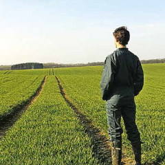 person looking tractor tracks in a field of grass