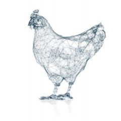 Digitale 3D structuur van een kip