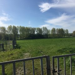 ILVO pasture in the Gondebeek valley