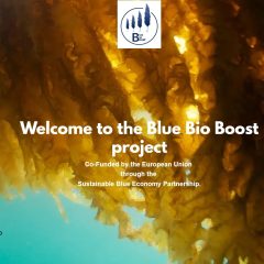 Blue bio boost project