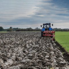 farmer plows a field he leases from Ghent city