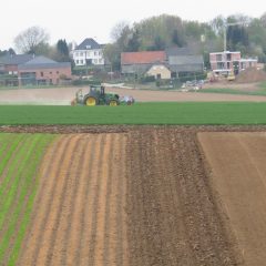 hilly field with ridge planted crop