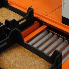 Kweek insecten in bakken