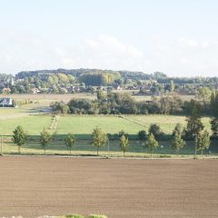 Landschapselementen op het platteland