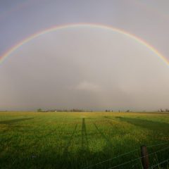 Rainbow farmers of the future