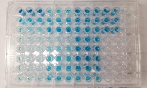 small tubes with blue fliud