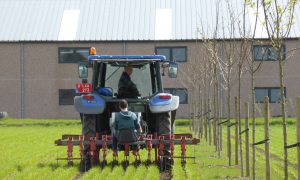 Een tractor op een veld met een bomenrij ernaast, dit is een vorm van agroforestry nl. alley croping.