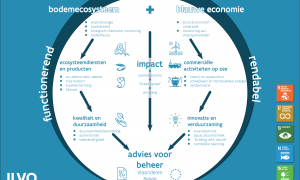 impact of ecosystem and blue economy fisheries