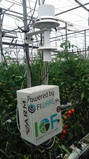 Serre met tomaten en technologie voor het verzamelen van data