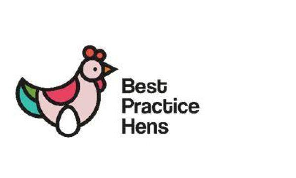logo with illustration of laying hen with egg