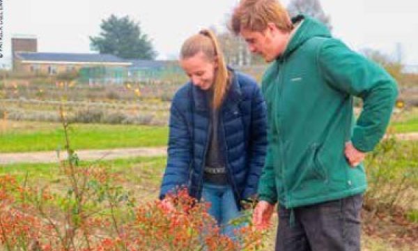 Onderzoekers Ewout en Femke op het proefveld om insectenmonitoring op te starten