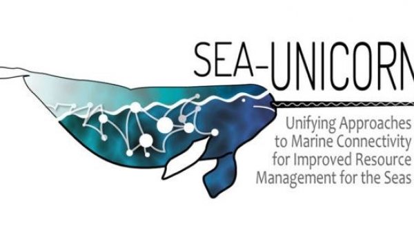 SEA-Unicorn logo of whale with connected dots
