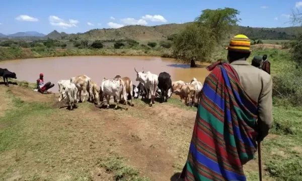 Film - Tanzania