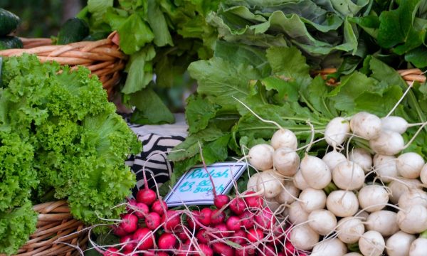 marktkraam met radijzen en andere groenten