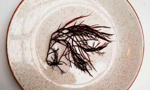 brown seaweed on a plate