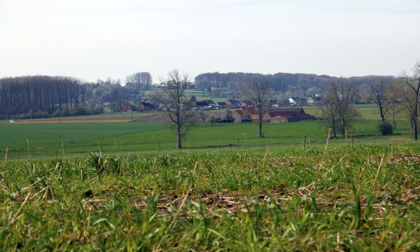 Plattelandsbeeld Oost-Vlaanderen