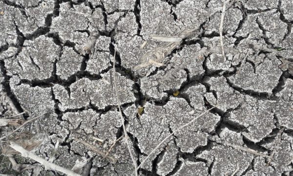Dry soil