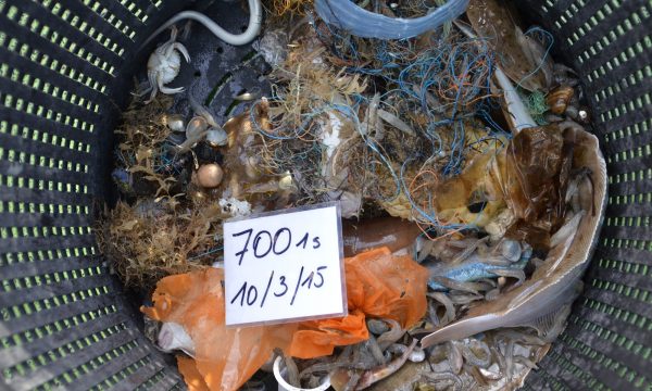 foto van afval opgevist van de zeebodem