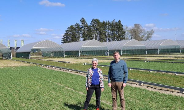 2 onderzoekers in het veld voor de HYDRAS droogtekappen