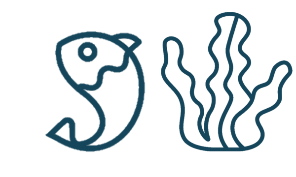 icoon van een vis gecombineerd met een icoon voor zeewier